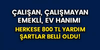 Çalışan – Çalışmayan, ev hanımından esnafa, emekliden işsizlere kadar 800 TL yardım yapılacak! Şartlar ve başvuru yolları belli oldu!