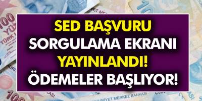Bakanlıktan Müjde Geldi! 1.320 TL yardım verilecek! Sosyal Ekonomik Destek Nedir, Nasıl Başvuru Yapılır?