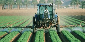 Tarım İlaçları Otizm, Kanser ve Üremeyi Tetikliyor