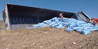 Direksiyon hakimiyetini kaybeden tohum yüklü tır devrildi