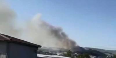 Bursa'da tavuk çiftiğinde çıkan yangın ormana sıçradı