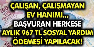 Çalışan, Çalışmayan, Öğrenci, Ev Hanımı… Başvuran herkese aylık 967 TL sosyal yardım ödemesi yapılacak…