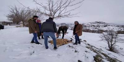 Bingöl’de sokak hayvanları unutulmadı