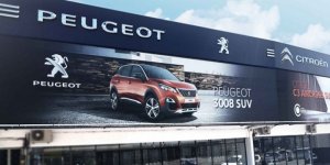 Peugeot ve Citroen Fifty Fifty