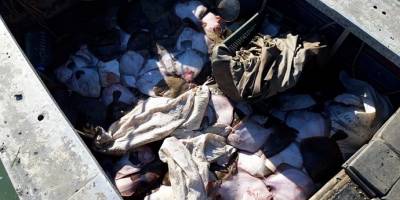 Rusya'nın gözaltına aldığı Ukraynalı balıkçılar tutuklandı