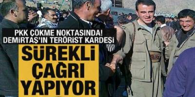 PKK çökme noktasına geldi: Demirtaş'ın terörist kardeşi sürekli çağrı yapıyor