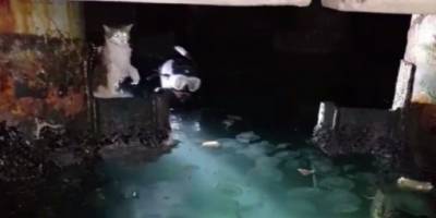 Sahil Güvenlik komutanlığı ekiplerinin kedi kurtarma operasyonu kamerada