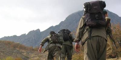 Mardin Nusaybin'de bir terörist tutuklandı