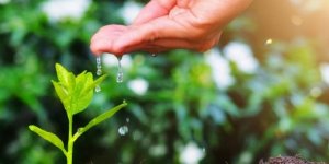 Geleceğe Nefes Kampanyasını Sevdik