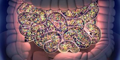 Bağırsak mikrobiyotası nedir? Bağırsak Mikrobiyota İçeriği Nasıl Saptanır?