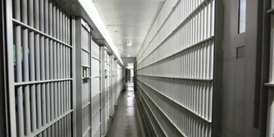 Avusturya, Rusya'nın 22 yıldır aradığı cinayet zanlısını iade etti