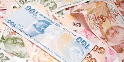 Devlet başvuranlara 173 bin lira hibe desteği