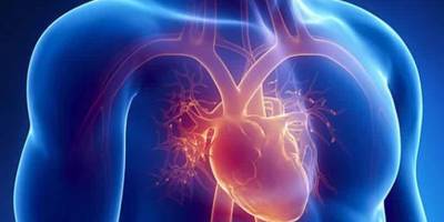 Koroner arter rahatsızlığı nedir? koroner arter tedavi yöntemi