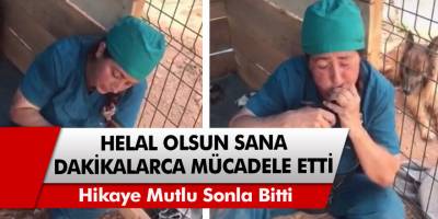 Dakikalarca mücadele etti! Helal olsun sana hikaye mutlu sonla bitti