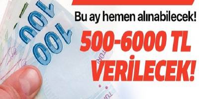 Hemen bu ay alınabilecek! 500-6000 TL verilecek