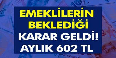 Emeklilerin yıllardır beklediği karar geldi! Aylık 602 TL Ek Ödeme Yapılacak! e-Devlet Başvuruları Başladı…