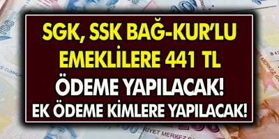 Emekli Vatandaşlara Yeni Devlet Yardımı! Emekli Ailelere 441 TL Yardım Yapılacak…