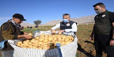 Ülke sıralamsında 5. sırada olan Kayseri'de patates hasadına başlandı