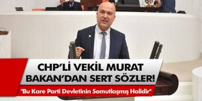 CHP'li İzmir milletvekilinden sert sözler: "Bu kare parti devletinin somutlaşmış halidir"