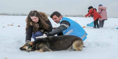 Sokak hayvanları İpekyolu’nda sahipsiz kalmıyor