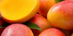 Üreticinin Yeni Gözdesi Mango