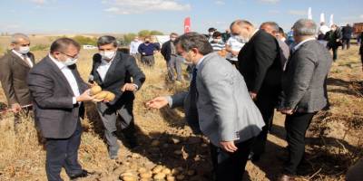 Yozgat’ın Kuşçu köyünde yerli patates hasadı yapıldı