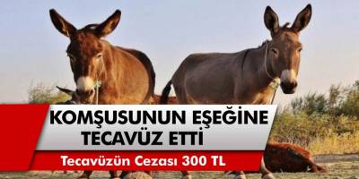 O İlimizde Akılalmaz Tecavüz Girişimi! Komşusunun Eşeğine Tecavüz Etti, 300 TL Para Cezası Kesildi
