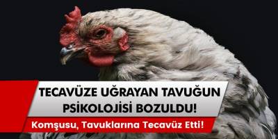 Tecavüze Uğrayan Tavukların Psikolojisi Bozuldu, Sahipleri İsyan Etti!