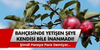 Emekli olduktan sonra yeni bir iş kurdu, resmen paraya para demedi! Hala üretmeye devam ediyor…