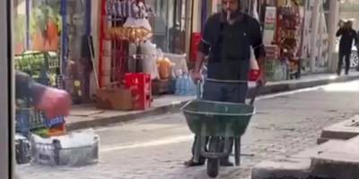 Tatvan'da  Su içen kediye şefkat