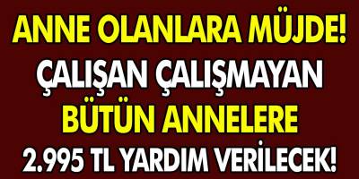 Çalışan, çalışmayan tüm annelere müjde! 2995 TL yardımlar devam ediyor! Sigortasız kadınlar nasıl yardım alacaklar?