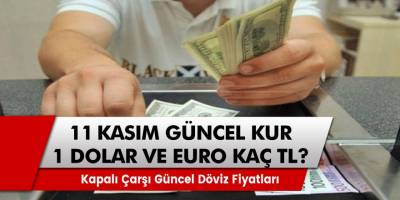 1 dolar bugün kaç TL Dolar ve euro bugün ne kadar 11 Kasım Çarşamba 2020 kapalı çarşı döviz fiyatları