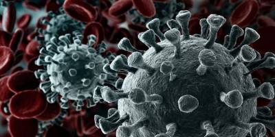 Japonya'da virüs'ten 1 kişi daha hayatını kaybetti