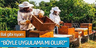 Bal gibi isyan: 'Böyle uygulama mı olur?'