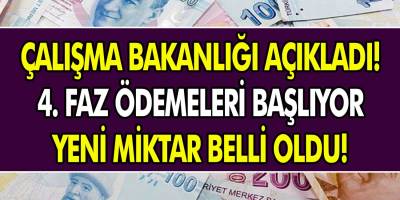 4. faz ödemeleri başlıyor! Aile çalışma ve sosyal hizmetler bakanlığı açıkladı… Yeni miktar ve başvuru ekranı!