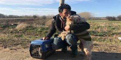 Sınırı geçerken 6 yıldır baktığı kedisi ve köpeğinden vazgeçti