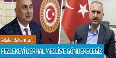 Adalet Bakanı Gül: Felekeyi derhal Meclis'e göndereceğiz