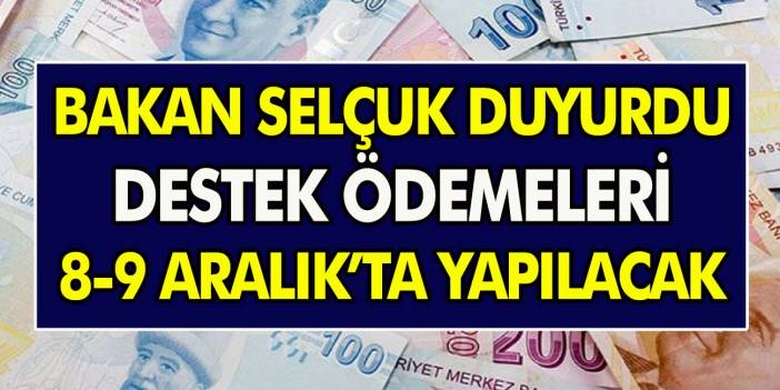 Son Dakika Haberi! Milyonlarca Kişinin Beklediği Destek Ödemeleri 8-9 Aralık'ta Yapılacak!