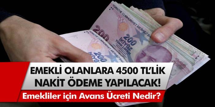 Son Dakika! Emekli olanlara  4500 TL'lik Nakit Ödeme Yapılacak…