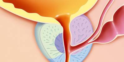 Prostat büyümesi nedir? Prostat büyüklüğü ne kadar olmalıdır?