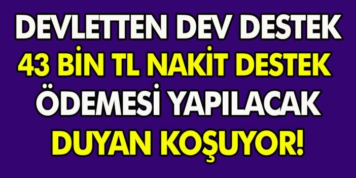 Devletten dev destek! Tam 43 bin TL nakit destek ödemesi yapacak, duyan başvuruya koşuyor…