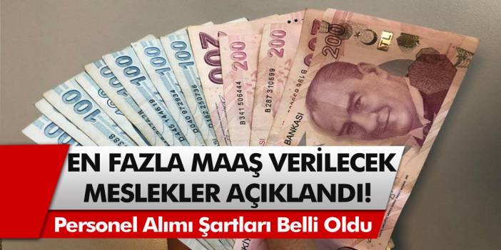 Milyonlarca kişiyi sevindirecek haber! Hangi mesleklerde alım yapılacağı ve şartlar belli oldu…