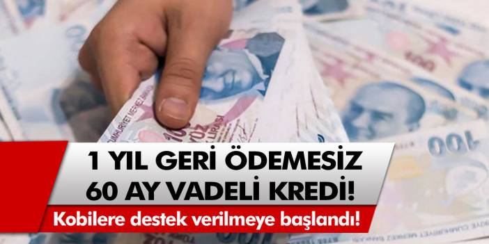 Kobilere destek verilmeye başlandı! 1 yıl geri ödemesiz, 60 ay vadeli kredi verilecek…