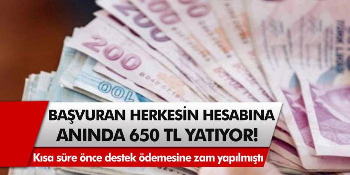 Başvuran herkesin hesabına anında 650 TL yatıyor! Kısa süre önce destek ödemesine zam yapılmıştı…