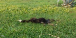 Bursa’da Satanist Ayini İddiaları!