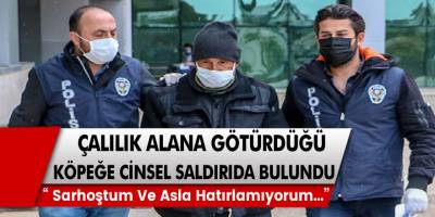 Kan donduran iğrenç olay! Çalılık alana götürdüğü köpek ile yaşlı şahıs…