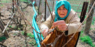 Yaşına rağmen bahçe işleriyle uğraşan Ayşe Ünal hem üretiyor hem de geçimini sağlıyor