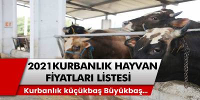 Kurbanlık küçükbaş hayvanlardan büyükbaş hayvanlara kadar fiyatlar belli oldu! 2021 kurban fiyat listesi…