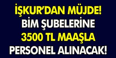 İŞKUR’dan müjde: BİM’de istihdam etmek üzere 3500 TL’ye personel alım ilanı! Başvurular başladı…