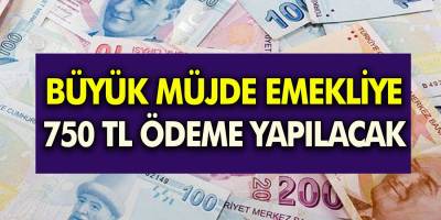 SGK SSK ve Bağ-kur Emeklilerine 750 TL Ödeme yapılıyor! İşte Başvuru şartları...